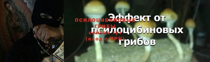 Псилоцибиновые грибы Magic Shrooms  закладки  Ялта 